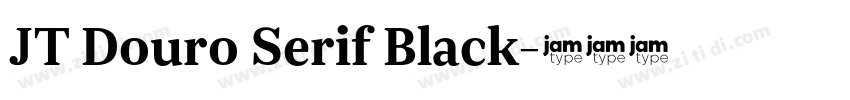 JT Douro Serif Black字体转换